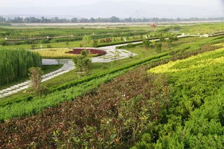 蔡家坡渭河湿地公园图片