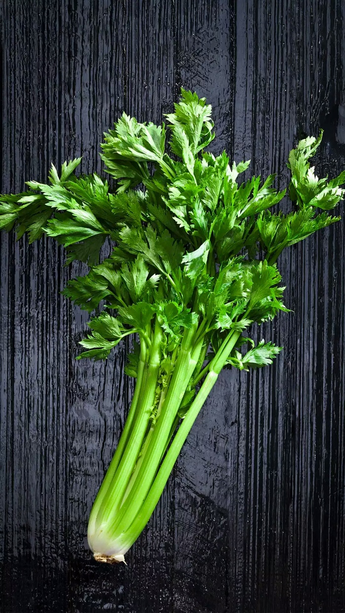 芹菜高清摄影图片
