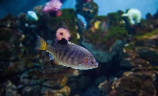 北京海洋馆图片