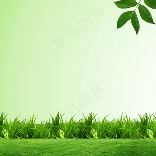 C春季绿色草地天空主图背景