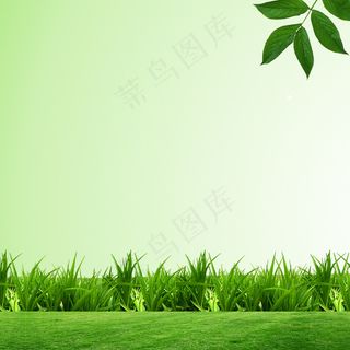 C春季绿色草地天空主图背景