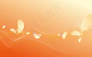 橙色羽毛背景