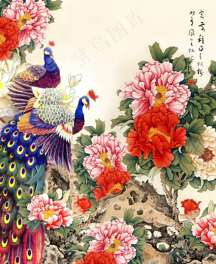 国画孔雀牡丹图片