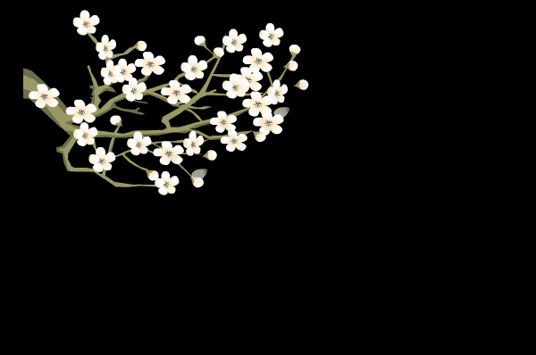 白色鲜花