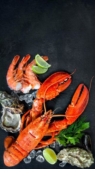 红色的大龙虾高清摄影图片