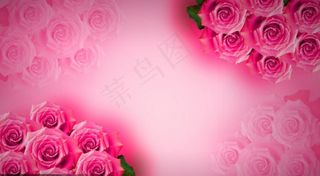 玫瑰花粉红色背景PSD素材图片下载