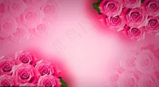 玫瑰花粉红色背景PSD素材图片下载