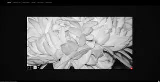 黑白花瓣网页动画模板