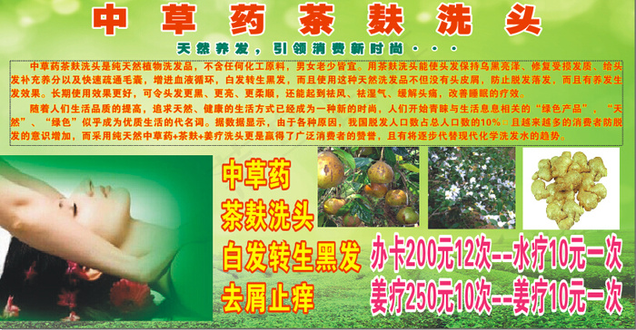 茶麸洗头cdr矢量模版下载