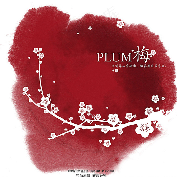 梅花图片(5906X5906(DPI:300))psd模版下载