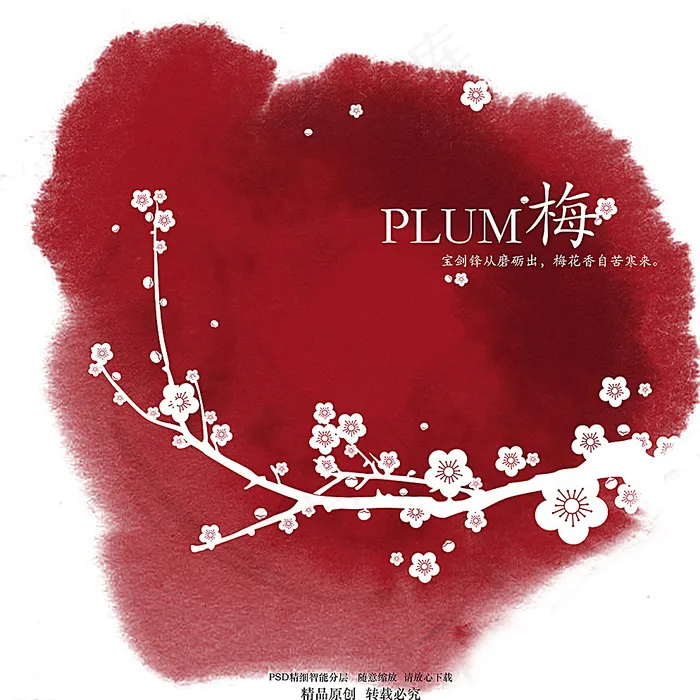梅花图片(5906X5906(DPI:300))psd模版下载