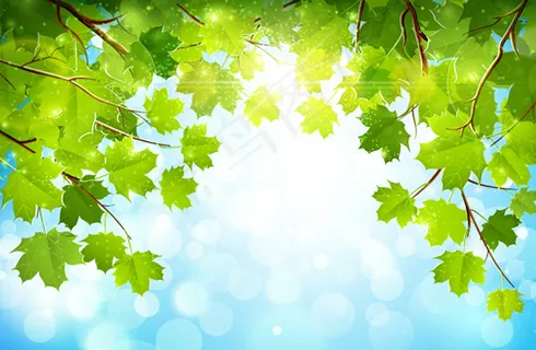 矢量树叶梦幻背景设计