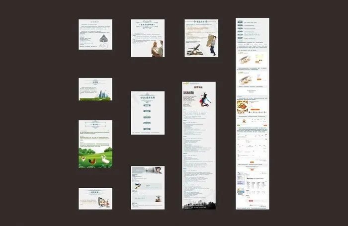 购物网页设计图片(790X889(DPI:72))psd模版下载