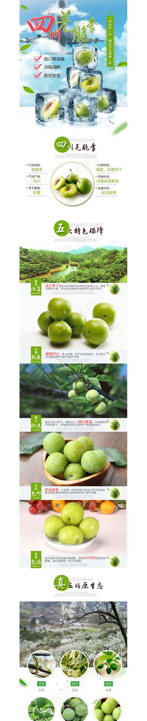 脱骨李羌脆李子详情水果详情