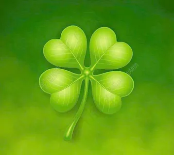 绿色四叶草