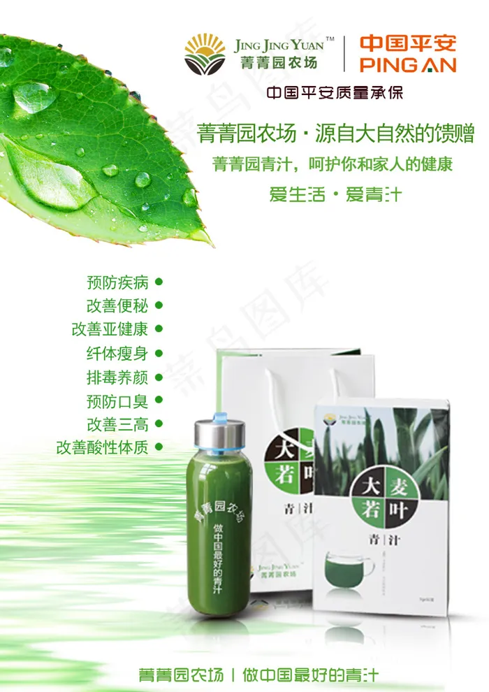 大麦若叶青汁psd模版下载