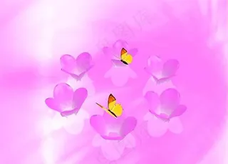 婚礼视频素材下载图片