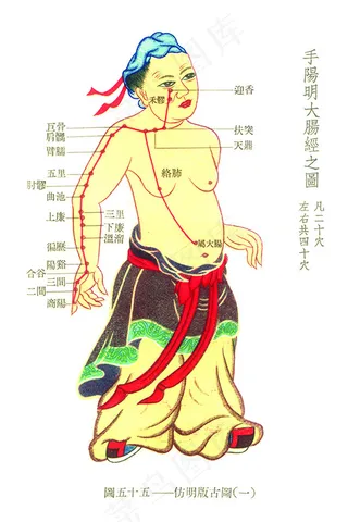人体经络图