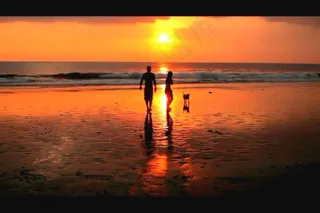 婚礼婚庆情人节视频模板下载