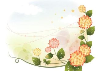 韩国植物装饰边框矢量图19