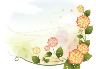 韩国植物装饰边框矢量图19