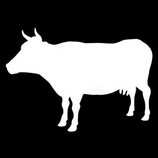 COW 牛模型01