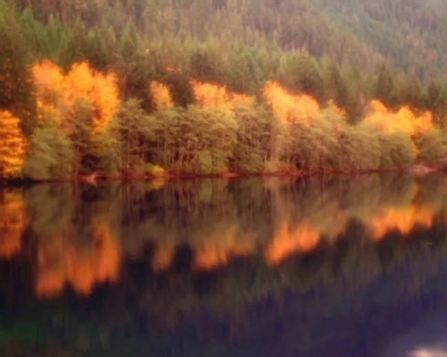 水中倒影视频模板下载