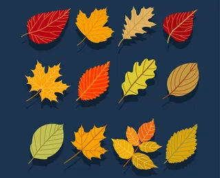 树叶枫叶素材剪影
