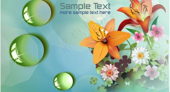 百合花 花卉图片