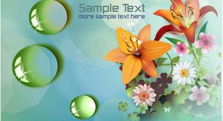 百合花 花卉图片