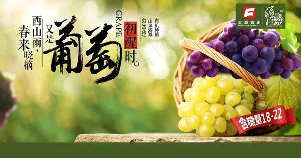绿色清新新鲜葡萄宣传海报