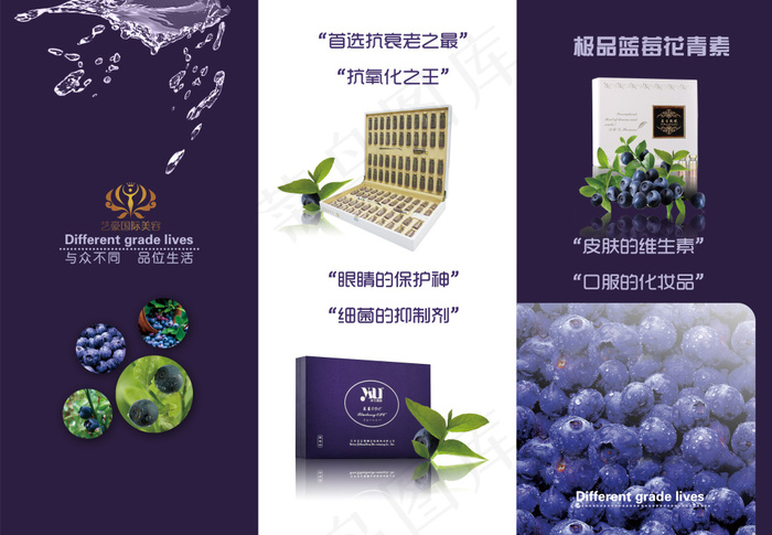 蓝莓三折页psd模版下载