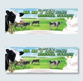 奶牛与牧场图片