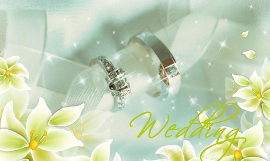 婚礼婚庆背影图片