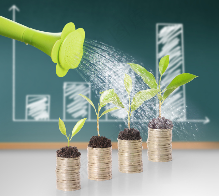 金币嫩芽小树苗孵化培育理财商务金融财富主题素材