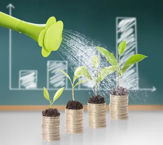 金币嫩芽小树苗孵化培育理财商务金融财富主题素材