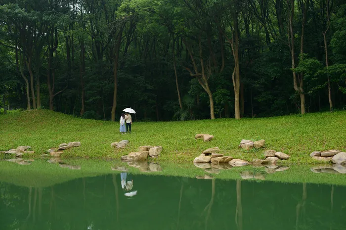 植物园里的风景图片