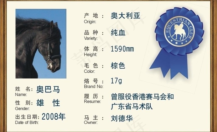 马术俱乐部简历展板图片cdr矢量模版下载