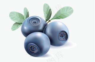 蓝莓水果图片