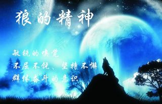 狼的精神图片