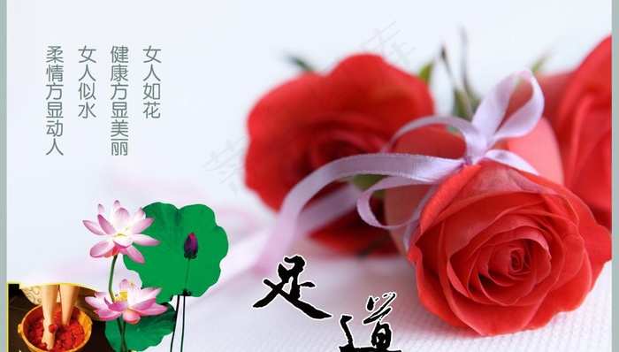玫瑰图片(5906X3691(DPI:300))psd模版下载