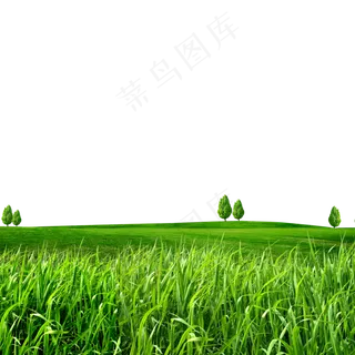 清新绿色草地元素
