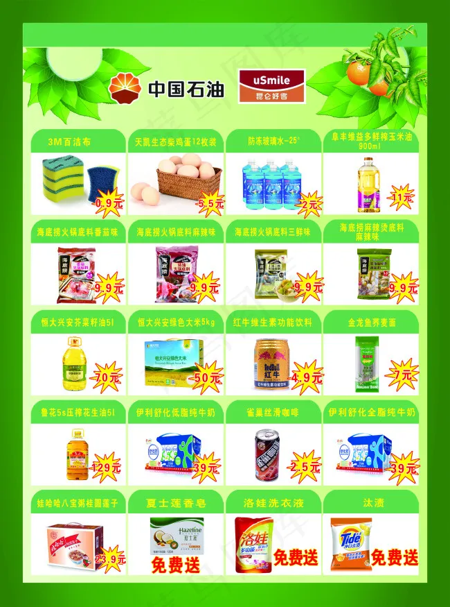 彩正 背面