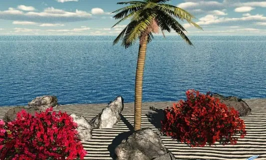 海边场景Beach palm tr...