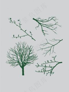 树干 树枝 树叶图片