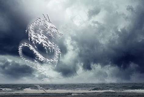 聚集的海鸥图片 聚集的海鸥图片