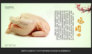 蔬菜展板设计鸡肉海报招贴广告设计