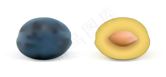 写实横切面水果矢量素材