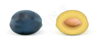 写实横切面水果矢量素材