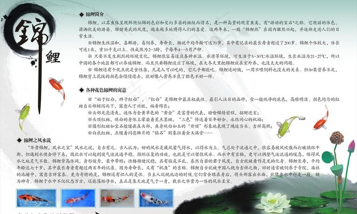 水墨展板图片cdr矢量模版下载